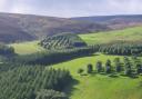 The forestry worker would be responsible for woodland across the 1,000-hectare farm