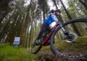 Glentress is well known for hosting cycling events
