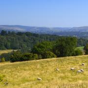 The strategy will aim to tackle crime in Wales' countryside