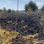 The blaze in Tentsmuir raged for three days
