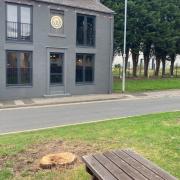 The council claims the tree was on land belonging to the local authority and is in a conservation area.