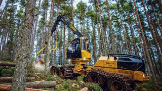 The report considered the future of public money for forestry