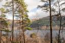 Tarbet Isle Forest is one of the new locations for Stay the Night this season.