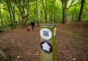 A series of QR codes located on posts along the route allow people to feed back on the current state of the pathway