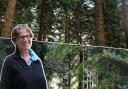 Kath McNulty is leading the restoration of a major part of Gwydir Forest Park