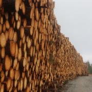 Stock image of timber