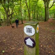 A series of QR codes located on posts along the route allow people to feed back on the current state of the pathway