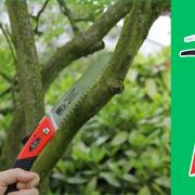 Pruning saws and tools for handling every occasion