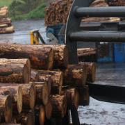 Stock image of sawlogs in a sawmill for illustrative purposes only