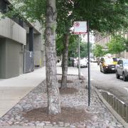 High-quality street tree planting.