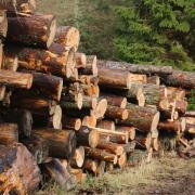 MPs recently concluded there was no clear plan for the UK's timber industry - but does anyone outside of forestry care?