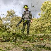 Recent studies show battery-powered tools bring a range of benefits to tree workers
