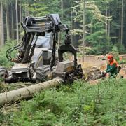 The app can be used to alert remote, long working forestry professionals