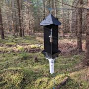 A trap used by the GB monitoring network to lure Ips typographus beetles