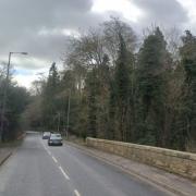 Trees felled were on land off Newbattle Road, in a conservation area