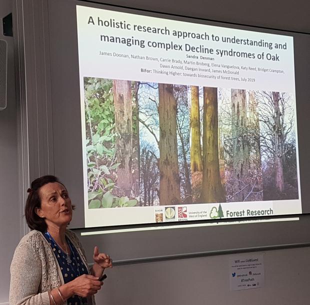Forestry Journal: Prof Sandra Denman from Forest Research speaks on acute oak decline (photo courtesy of Team Thomma).