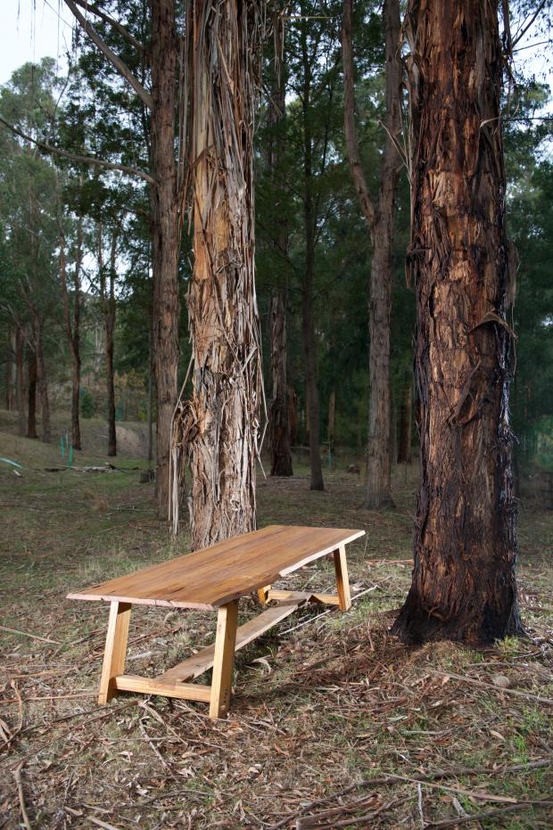 Forestry Journal: Eucalypt sawlogs are now being harvested for furniture timber.