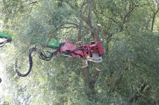 Forestry Journal: The Vosch grapple saw is a lightweight attachment that combines precision cutting with viable timber production. Kevin Russell takes his time and works the head through the dense foliage of the willows to prune the first tree and clear a line of sight for subsequent operations.