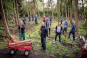 Trees donated to revive community woodland
