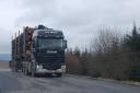 Call for timber transport projects to be submitted