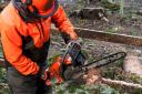 Courses include chainsaw operation