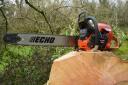 Launched late in 2020, the CS-7310SX is the largest professional chainsaw in Japanese manufacturer Echo’s range