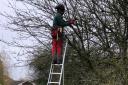 The Hendon Tripod Ladders are also available with an option for all three legs to be adjustable.