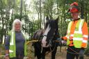 Kate Mobbs-Morgan, Frank the horse and Jonathan Booty gave guests a taste of horse logging.