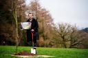 Councillor Micky Murray plants a tree in Barnett Demesne to launch the public consultation on council’s draft tree strategy for the city.