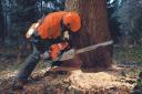 Forestry contractors face steep costs just to stay afloat