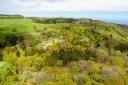 The 15,000-acre Mulgrave Estate in the national park has announced plans to plant 300,000 trees