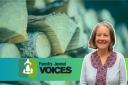 Helen Bentley-Fox has her say on the future of woodfuel