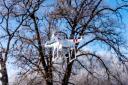 Drones are becoming more powerful all the time - and a more common site in UK woodlands.