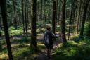 Where will England's new national forest be?