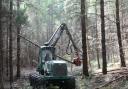 How forestry finance can help grow the sector