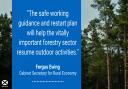 New Scots forestry guidance published as lockdown eases
