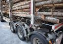 Timber imports show strong market recovery