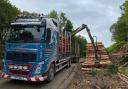 Timber imports continue strong market recovery