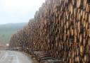 Stock image of timber for illustrative purposes only