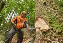 Courses on chainsaw maintenance are among those on offer