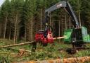 A variety of jobs are currently vacant in forestry