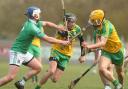 Hurling remains one of the most popular sports in Ireland