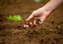 Two thirds of UK soils deficient in key nutrients, survey shows