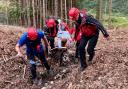 The worker had to be carried up a hillside by mountain rescuers