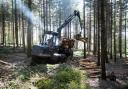 Forestry work is key to the estate