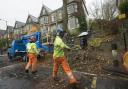 Thousands of tree were felled in the leafiest streets of Sheffield between 2016 and 2018
