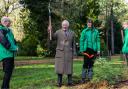 King Charles joined staff to plant the Wollemi pine this week