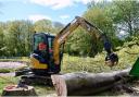Sany's excavator range has grown in popularity among tree-care professionals in recent years