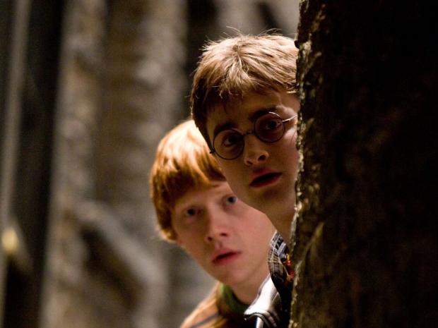 Forestry Journal: Scenes from Harry Potter, starring Daniel Radcliffe, were filmed in the woodlands 