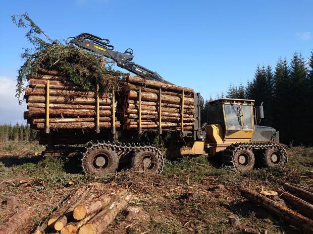 Forestry Journal: David Forbes 